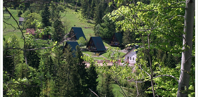 Żabnica – domki letniskowe