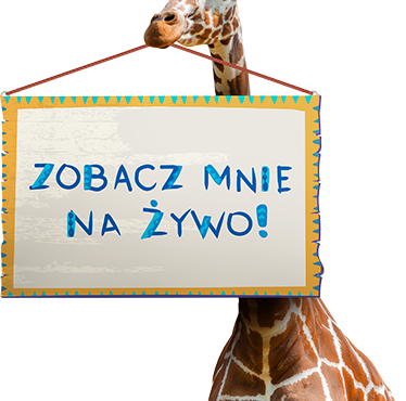 Promocja Egzotyka Mile Widzana