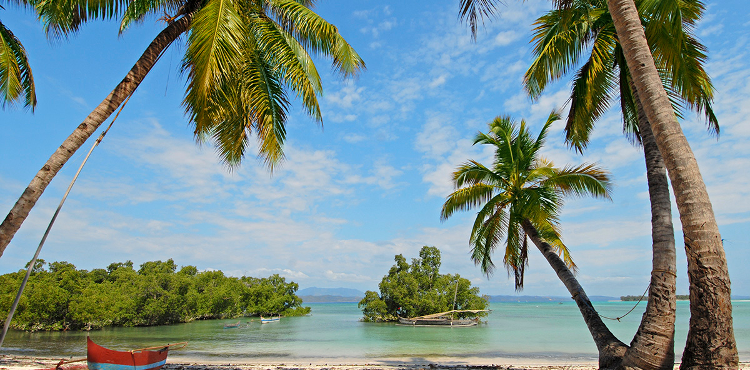 Plaże jak z bajki,wspaniała przyroda i lemury-Madagaskar!