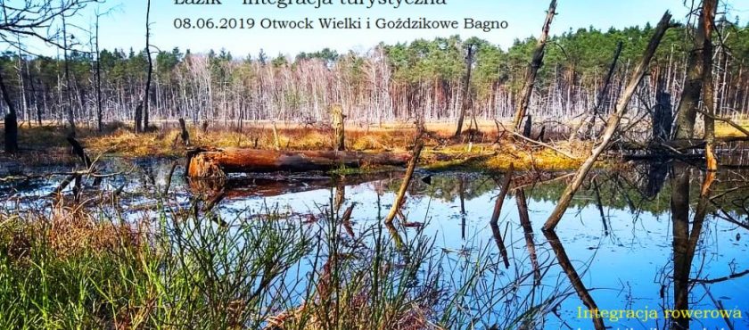 Mazowiecki park Krajobrazowy: Otwock Wielki i Celestynowskie Bagna – wycieczka rowerowa z Warszawy